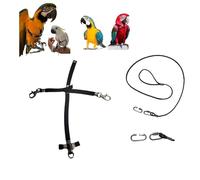 Peigne en paquebot noir raccord rapide, moyen de coco à amazon, grande Plongée, élastique ruban 10 mm, boucles plastique ou métal gaine corde 4 mm 1 m crochet à vis 4 mm (grand ara crochets