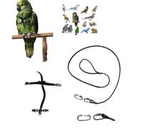 Peigne en paquebot noir raccord rapide, moyen de coco à amazon, grande Plongée, élastique ruban 10 mm, boucles plastique ou métal gaine corde 4 mm 1 m crochet à vis 4 mm (moyenne boucles métalliques)