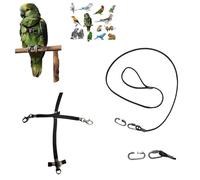 Peigne en paquebot noir raccord rapide, moyen de coco à amazon, grande Plongée, élastique ruban 10 mm, boucles plastique ou métal gaine corde 4 mm 1 m crochet à vis 4 mm (moyenne crochets métalliques)