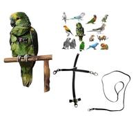 Peigne en paquebot noir réglable raccord rapide, mesure par cocorite à amazon élastique ruban 10 mm, boucles plastique ou métal gainage 10 mm 1 m (noir crochets métalliques)