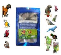 Peigne en paquebot plus a35 noir raccord rapide, moyen senerino amazone ou grande Plongée, élastique ruban 15 mm, boucles plastique ou métal gaine corde 4 mm 1 m