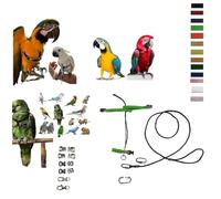 Peigne en paquet, fixation rapide, moyenne de kalopsite à amazon, ou grande aie, élastique ruban 10 mm, boucles en plastique ou en métal, corde 4 mm, 1 m crochet à vis 4 mm