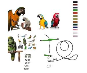 Peigne en paquet, fixation rapide, moyenne de kalopsite à amazon, ou grande aie, élastique ruban 10 mm, boucles en plastique ou en métal, corde 4 mm, 1 m crochet à vis 4 mm