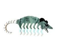 Peigne pour cheveux mouillés Brosse À Dents Larges Démêlante Coiffante