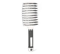 Peigne Wet Hair Brush Massage Comb Set