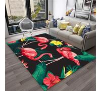 PEIHUODAN Grand Tapis Pour Le Salon, De Jeu Moderne Flamingo Cool, Indispensables La Chambre Des Adolescents Et Enfants, Antidérapant En Flanelle Douce Chevet Dans Garçons Filles (Couleur 4,100x150cm)