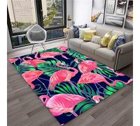 PEIHUODAN Grand Tapis Pour Le Salon, De Jeu Moderne Flamingo Cool, Indispensables La Chambre Des Adolescents Et Enfants, Antidérapant En Flanelle Douce Chevet Dans Garçons Filles (Couleur 3,160x230cm)
