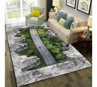 PEIHUODAN Illusions Optique Tapis Chambre Enfant Adolescent Ponts Transparents et Patinés, Paysages sous-Marins, Doux et Antidérapant, Tapis pour Salon, Chambre et Salles de Jeux, 80x120 cm, Color 2