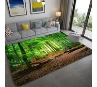 PEIHUODAN Paysage Naturel Flanelle Tapis forêt Verte Cascade Rocher 3D Décoration Moderne Tapis Antidérapant Lavable, Adapté Salon Chambre Bureau Salle De Bain Couloir (Color 2,50x80 cm)