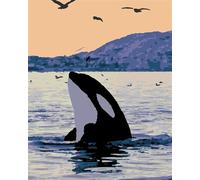 Peindre par Nombre Animaux marins Baleines,sans Cadre Kit de Peinture par Nombre pour Adultes DIY Paint by Numbers pour Enfants Débutant Peinture avec Pinceaux Acrylique Peinture Décor Cadeau 55x70cm
