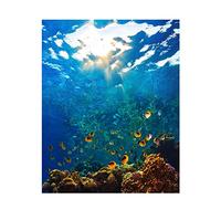 Peindre par Nombre,Kit de par Numero pour Adultes DIY Peinture pour Adultes Enfants Seniors Débutant Peinture avec Pinceaux Acrylique Pigmentée Pigmentée Cadeau Monde sous marin 40x50cm sans Cadre