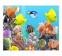 Peindre par Nombre,Kit de par Numero pour Adultes DIY Peinture pour Adultes Enfants Seniors Peinture avec Pinceaux Acrylique Pigmentée Pigmentée Cadeau Animal du monde sous-marin 40x50cm sans Cadre