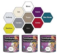 Peinture 2 Litres NOIR Spécial rénovation carrelage cuisine radiateur electromenager