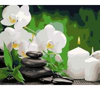 Peinture À Faire Soi-Même Par Numéros Zen Spa Pierre Phalaenopsis Fleur Bougie Pour Adultes Débutants Sur Toile Peinture À L'Huile Par Numéro Kit Dessin Peinture 40x50cm