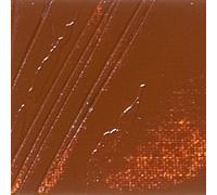 Tube de peinture à l'huile - Fine - Sienne brûlée - 200ml - Pébéo