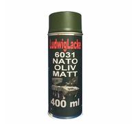 Peinture acrylique décorative - 400 ml - Spray RAL - Mat ou brillant - Séchage rapide - Pour peindre et décorer de nombreux matériaux - DIY (RAL 6031 - Olive mat nato)