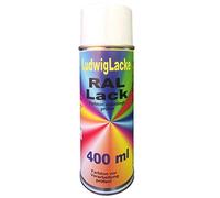 Peinture acrylique décorative - 400 ml - Spray RAL - Mat ou brillant - Séchage rapide - Pour peindre et décorer de nombreux matériaux - DIY (RAL 3020 rouge signalisation mat)