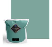 Peinture Acrylique Vert Céladon Icône - Aspect Satin - Peinture Mur, Plafond, Boiserie & Balcon - Lessivable - Séchage En 30 min - COV A+ - Fabriquée En France - 5 L - BARBOUILLE