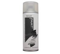AMT Peinture aérosol Vernis brillant – Tous supports