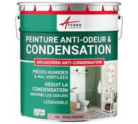 Peinture anti condensation anti odeur moisissure Rose poudré RAL 010 70 15 10 L