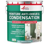 Peinture anti condensation, anti odeur, moisissure - 10 L Turquoise Pastel - RAL 6034 - ARCANE INDUSTRIES