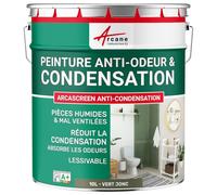 Peinture anti condensation, anti odeur, moisissure - 10 L Vert jonc - RAL 6013 - ARCANE INDUSTRIES