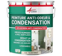 Peinture Anti Condensation, Anti Odeur, Moisissure 2.5 L Blanc Perlé