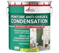 Peinture Anti Condensation, Anti Odeur, Moisissure 2.5 L Jaune soufre