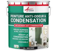 ARCANE INDUSTRIES Peinture Anti Condensation, Anti Odeur, moisissure - 2.5 L Noir foncé RAL 9005