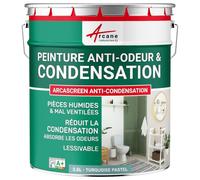 Peinture Anti Condensation, Anti Odeur, Moisissure 2.5 L Turquoise Pastel