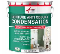 Peinture anti condensation, anti odeur, moisissure - 2.5 L Blanc - ARCANE INDUSTRIES