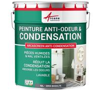 Peinture anti condensation, anti odeur, moisissure - 10 L Gris Basalte - RAL 7012 - ARCANE INDUSTRIES