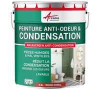 Peinture anti condensation anti odeur moisissure Rouge corail RAL 3016 2.5 L