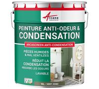 Peinture anti condensation, anti odeur, moisissure - 10 L Vert jonc - RAL 6013 - ARCANE INDUSTRIES