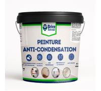 Peinture anti-condensation et anti-moisissure - BRICOSALVAJE - Blanc - Mat - 4L