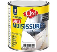 Peinture anti-moisissure - blanc - 0.5 L