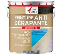 ARCANE INDUSTRIES Peinture antidérapante Sol extérieur, escalier, Bateau, carrelage, béton, Bois, métal : Solthane RD - 6 kg Telegris 2 - RAL 7046