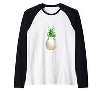 Peinture Aquarelle Cricket Insecte Nature Rencontre Le Sport Manche Raglan