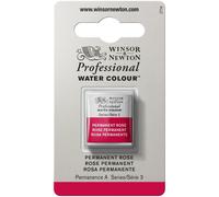 Peinture Aquarelle Professionnelle Winsor & Newton Couleurs En Demi-Pan