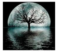 Peinture au diamant DIY 5D ZY161 - Arbre magique (30x30CM) G