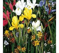 Peinture au diamant DIY 5D ZY357 - Fleur (30x30CM) G