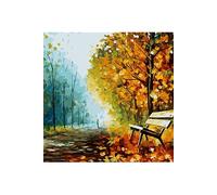 Peinture au diamant DIY 5D ZY391 - Paysage d'automne (30x30CM)
