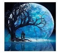 Peinture au diamant DIY 5D ZY629 - Couple sous la lune (30x30CM) G