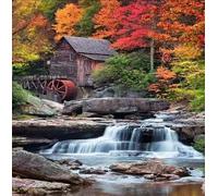 Peinture au diamant Forest Mill D1150