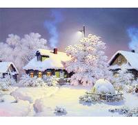 Peinture au diamant Paysage d'hiver D0141