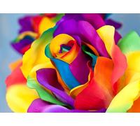 Peinture au diamant Roses D1201