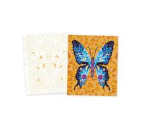 Peinture Au Numero Insectes