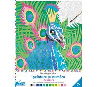Peinture au numéro - oiseaux - cahier avec palette et pinceau