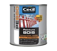 Peinture Bois Cécil Professionnel PEB60 Blanc brillant 0 5 L
