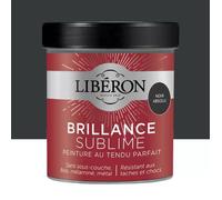 Libéron Peinture Brillance Sublime Noir absolu 0,5 L